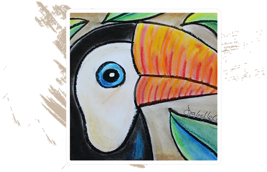 Le-Toucan-illustration