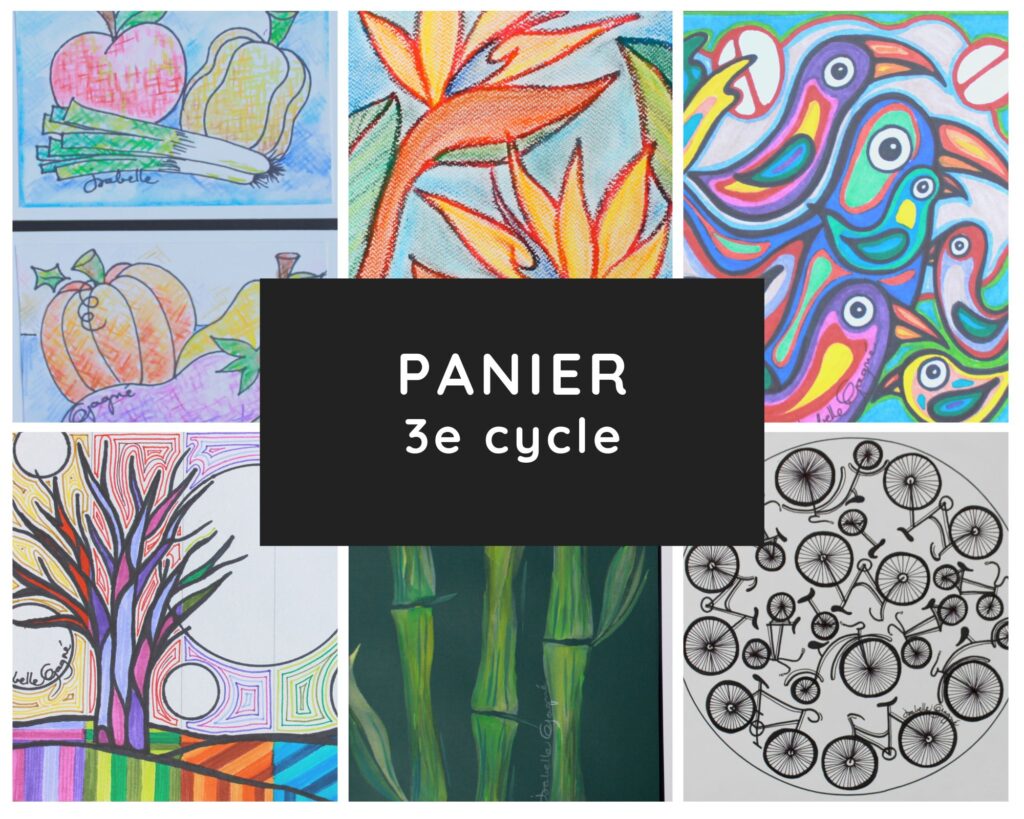 Panier 3e cycle